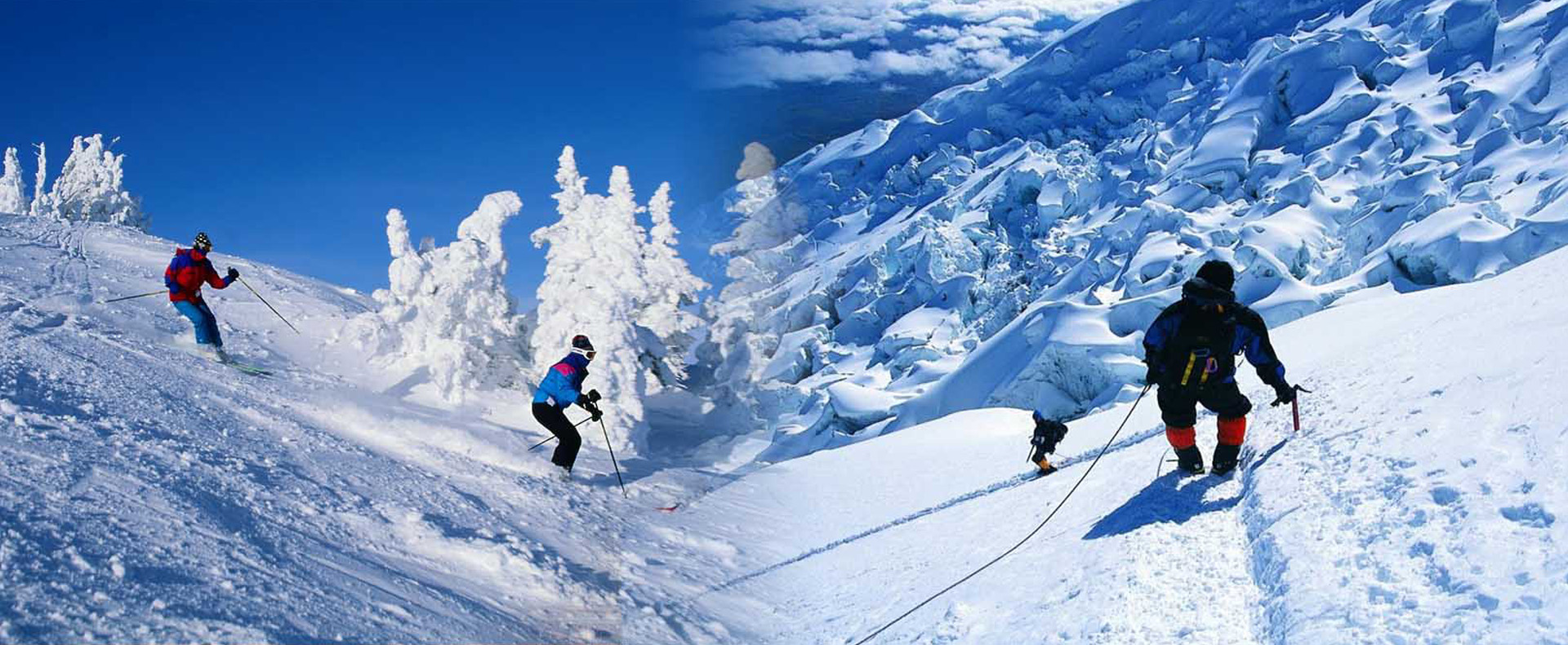 Holiday Packages in Manali 
